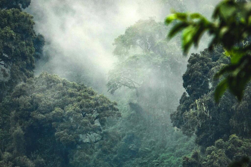 Jimmy Nelson- Foundation