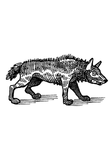 Symbol Nunspeet- Jimmy Nelson